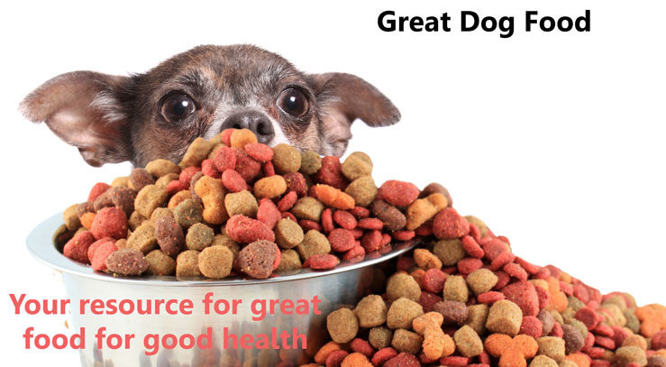 Great Dog Food